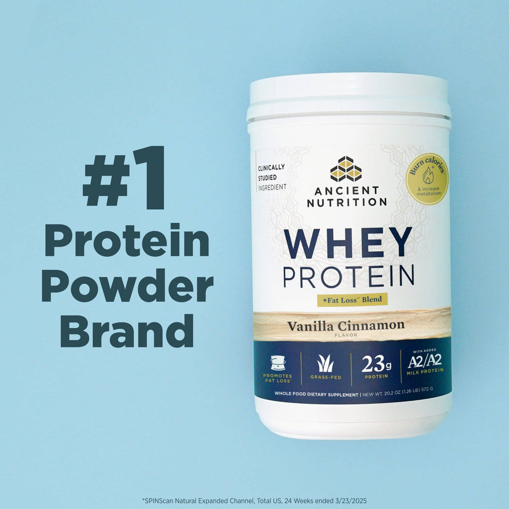 Whey Protein | Powder Chocolate (20 Servings)