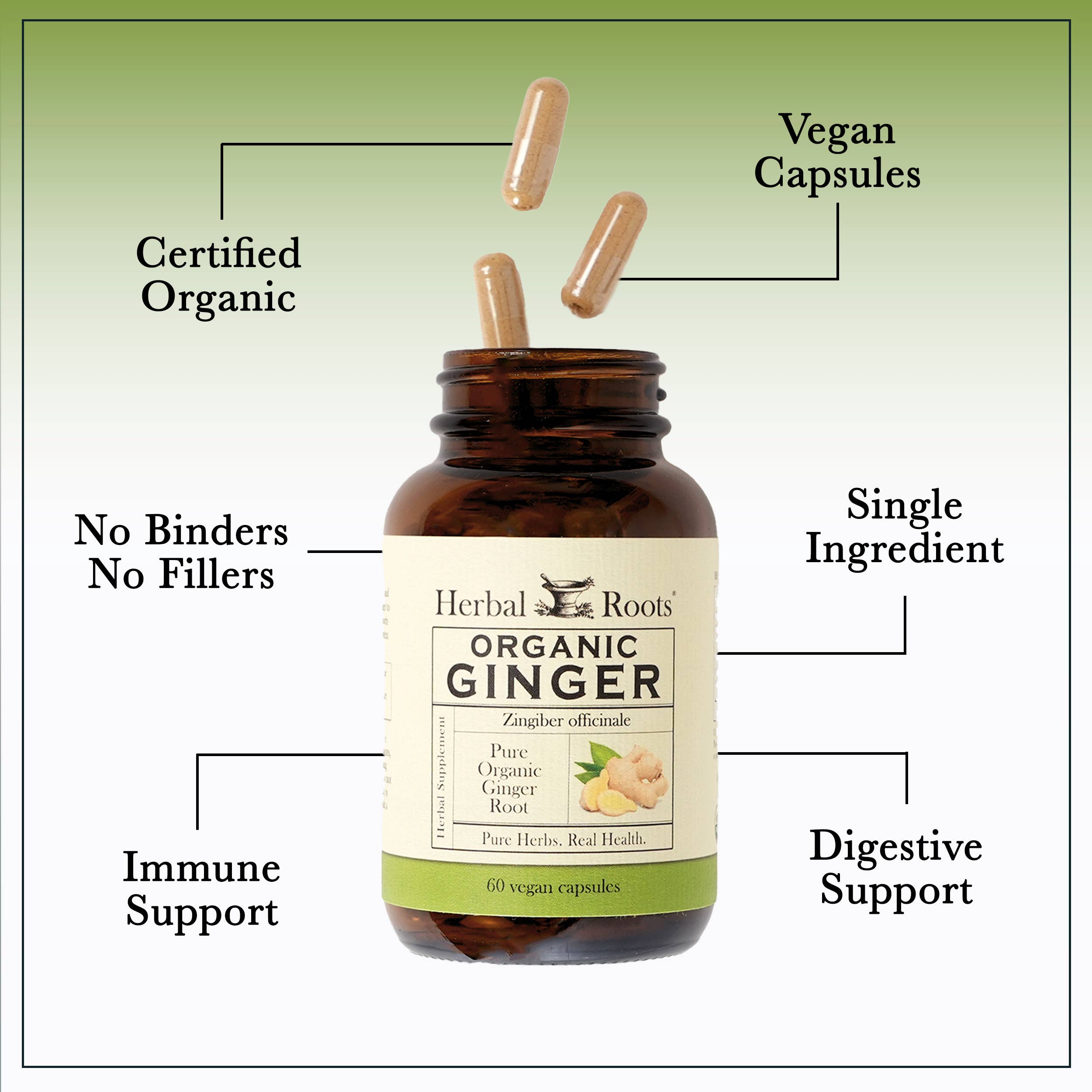 Herbal Roots Organic Ginger Root Capsules