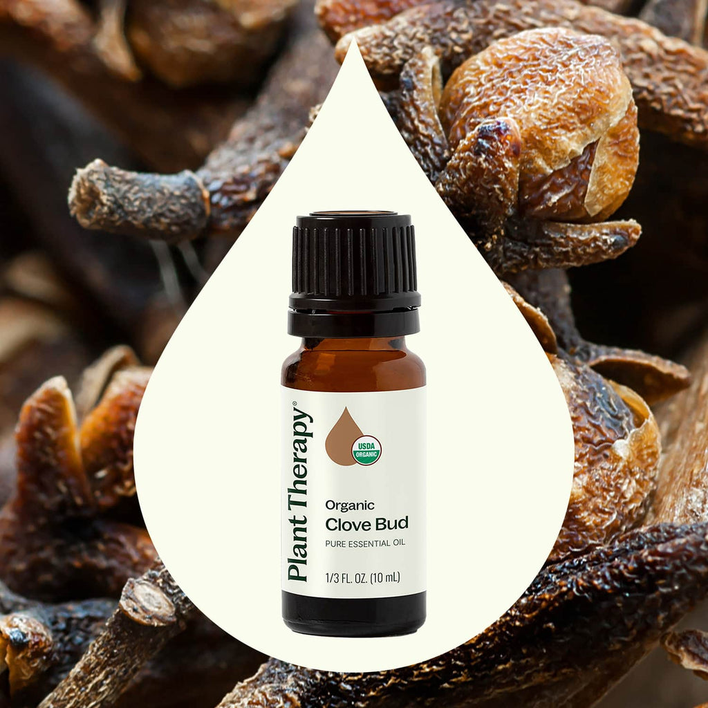 Organic Clove Bud Essential Oil 10 mL