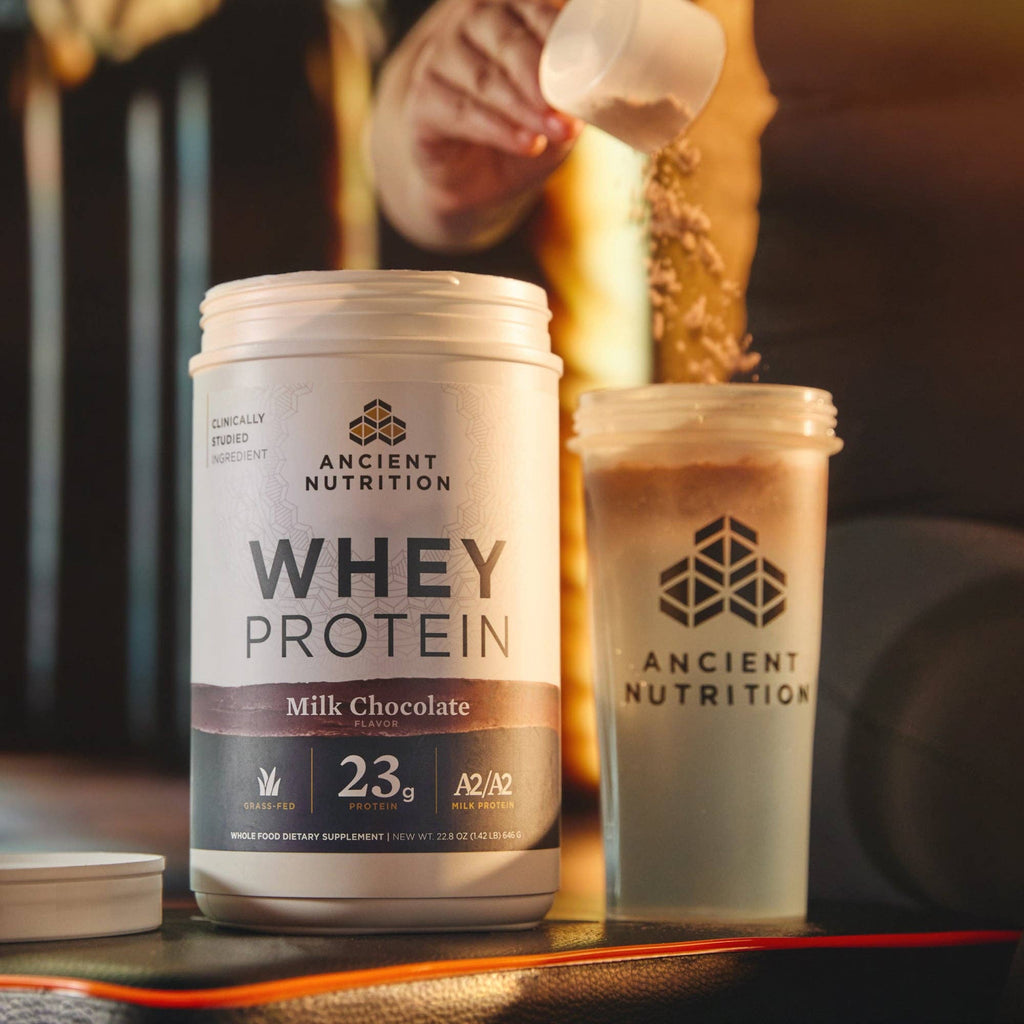 Whey Protein | Powder Chocolate (20 Servings)