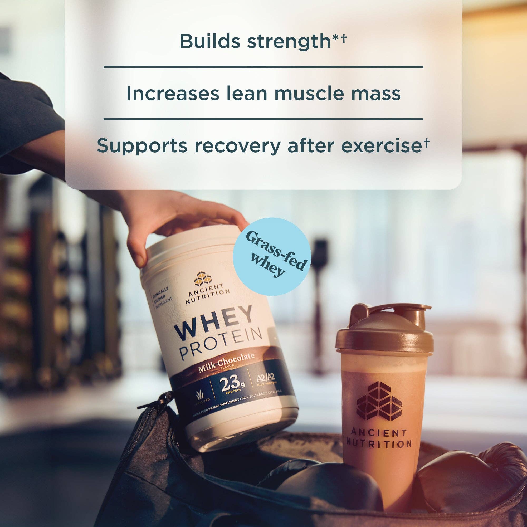 Whey Protein | Powder Chocolate (20 Servings)