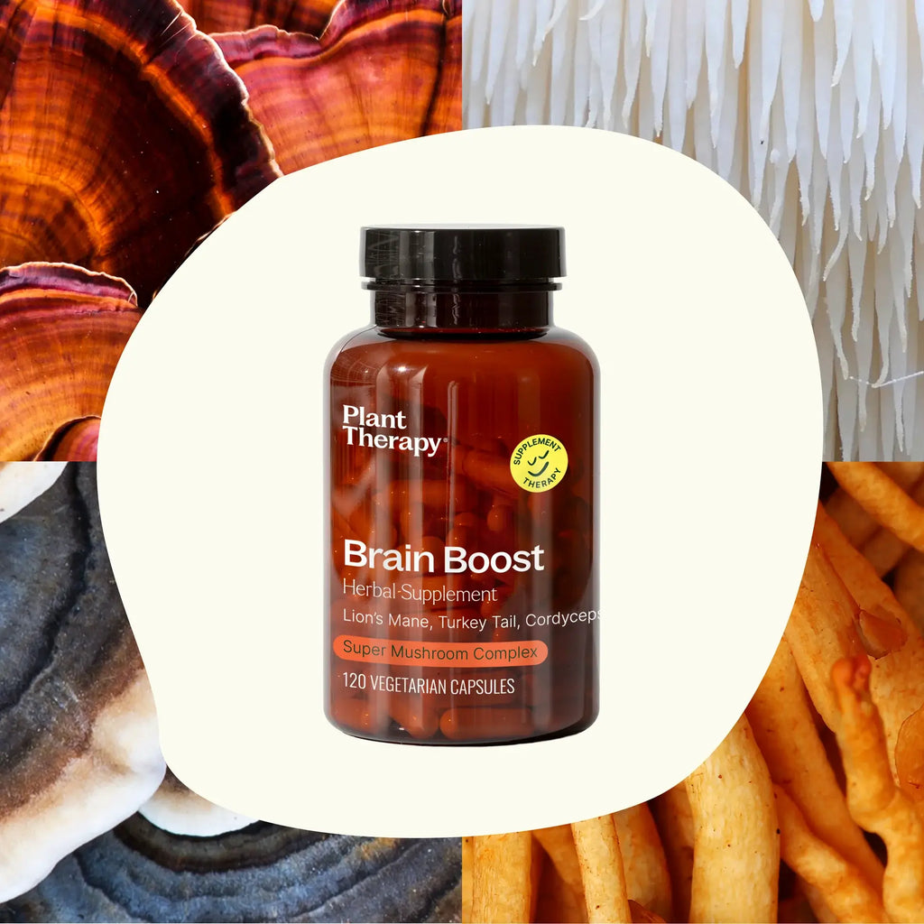 Brain Boost Herbal Supplement Capsules - 120 Capsules