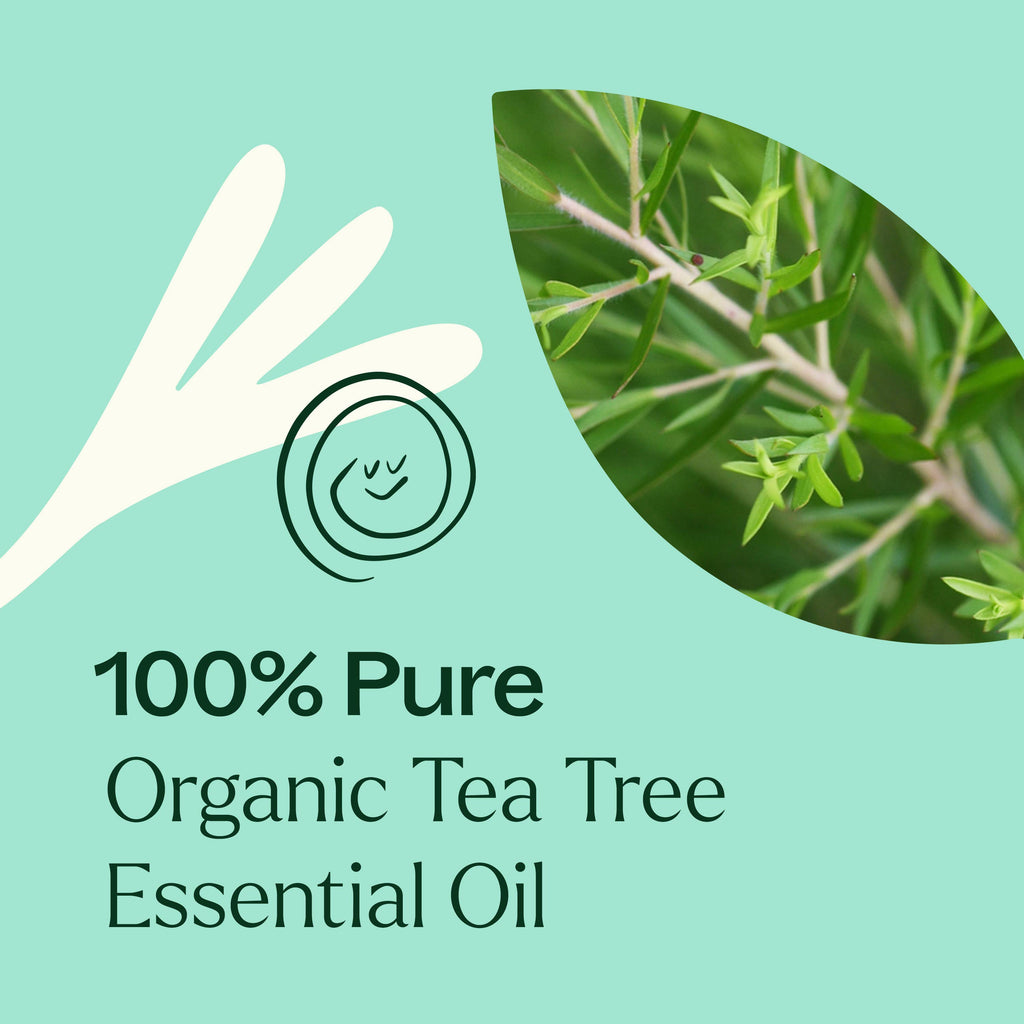 Organic Tea Tree Essential Oil 10 mL