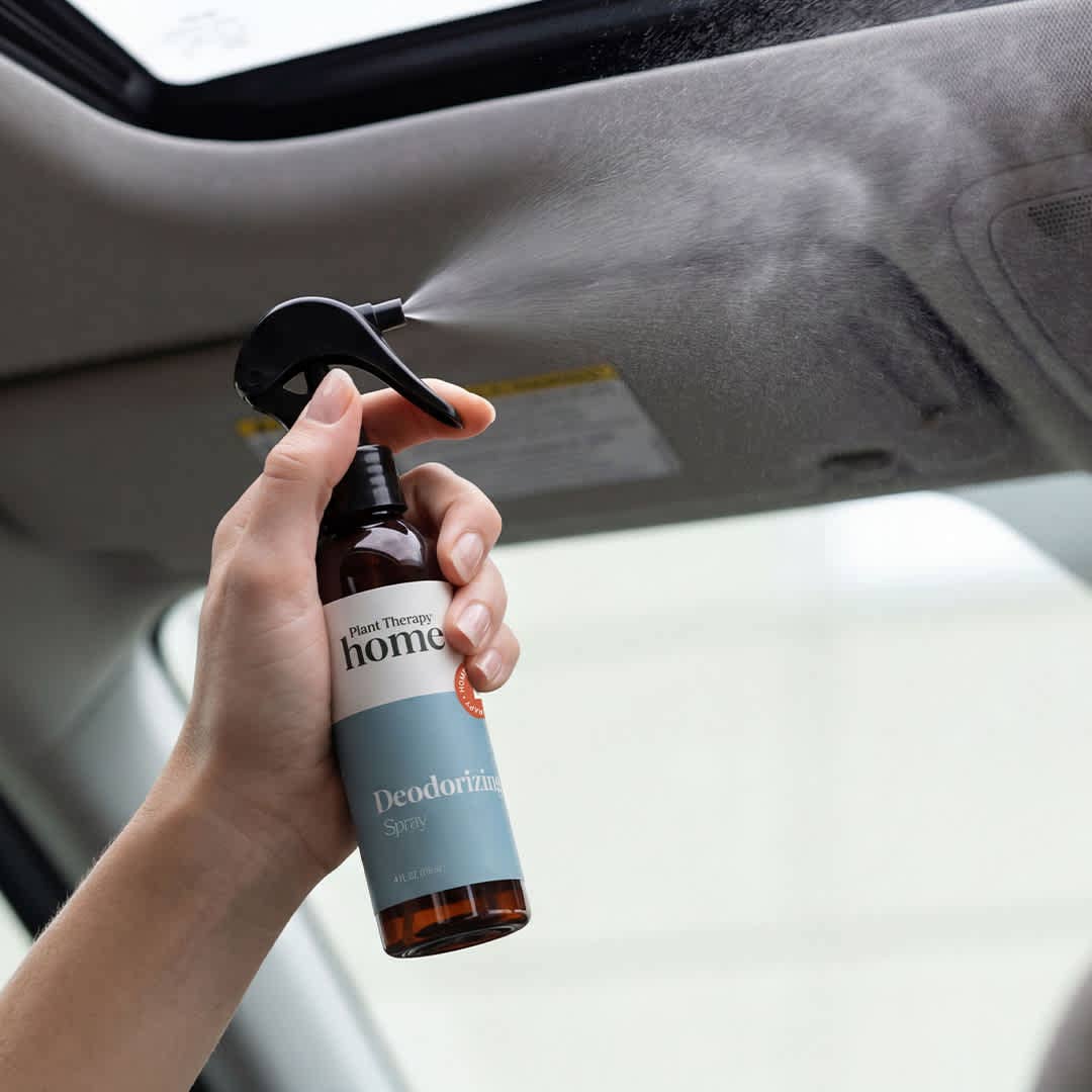 Deodorizing Spray 4 oz