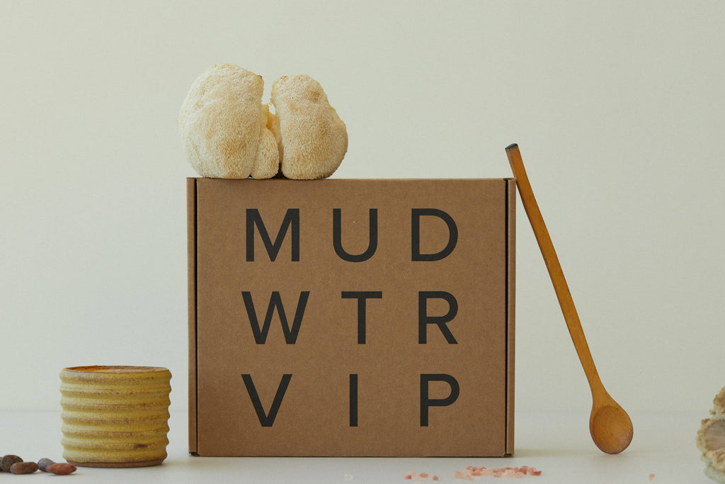 MUD\WTR - Morning Ritual Starter Kit w/ Original Flavor