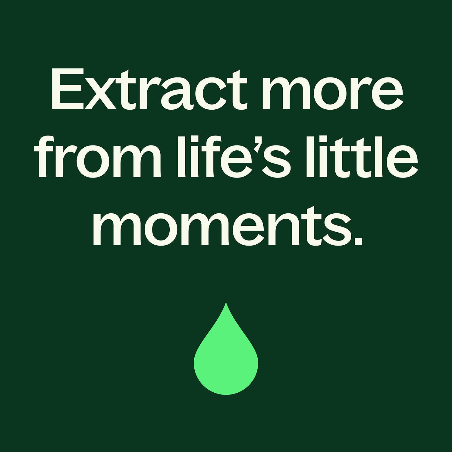 Organic Clove Bud Essential Oil 10 mL