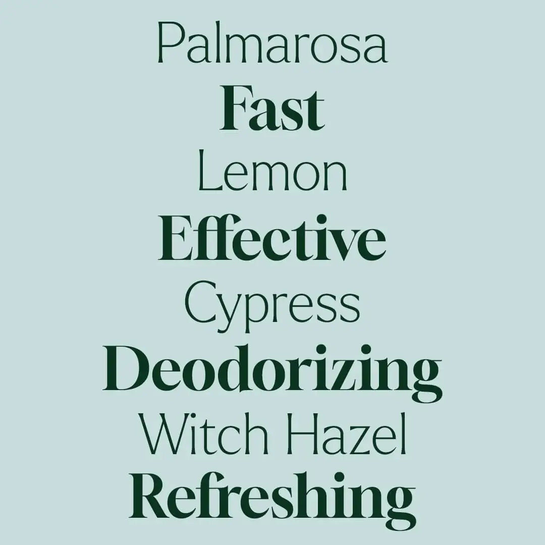 Deodorizing Spray 4 oz