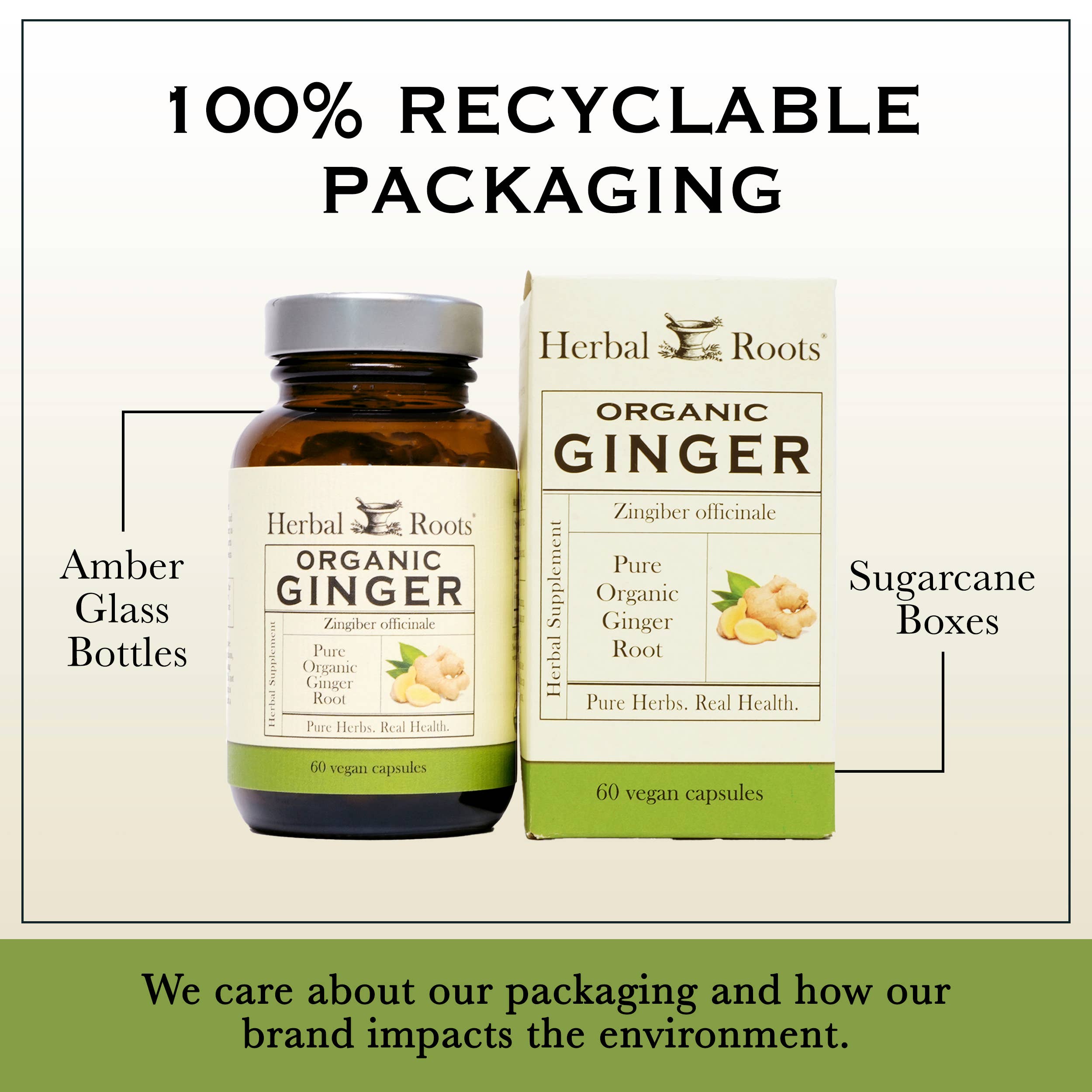 Herbal Roots Organic Ginger Root Capsules