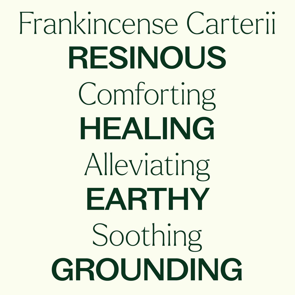 Organic Frankincense Carterii Essential Oil 10 mL