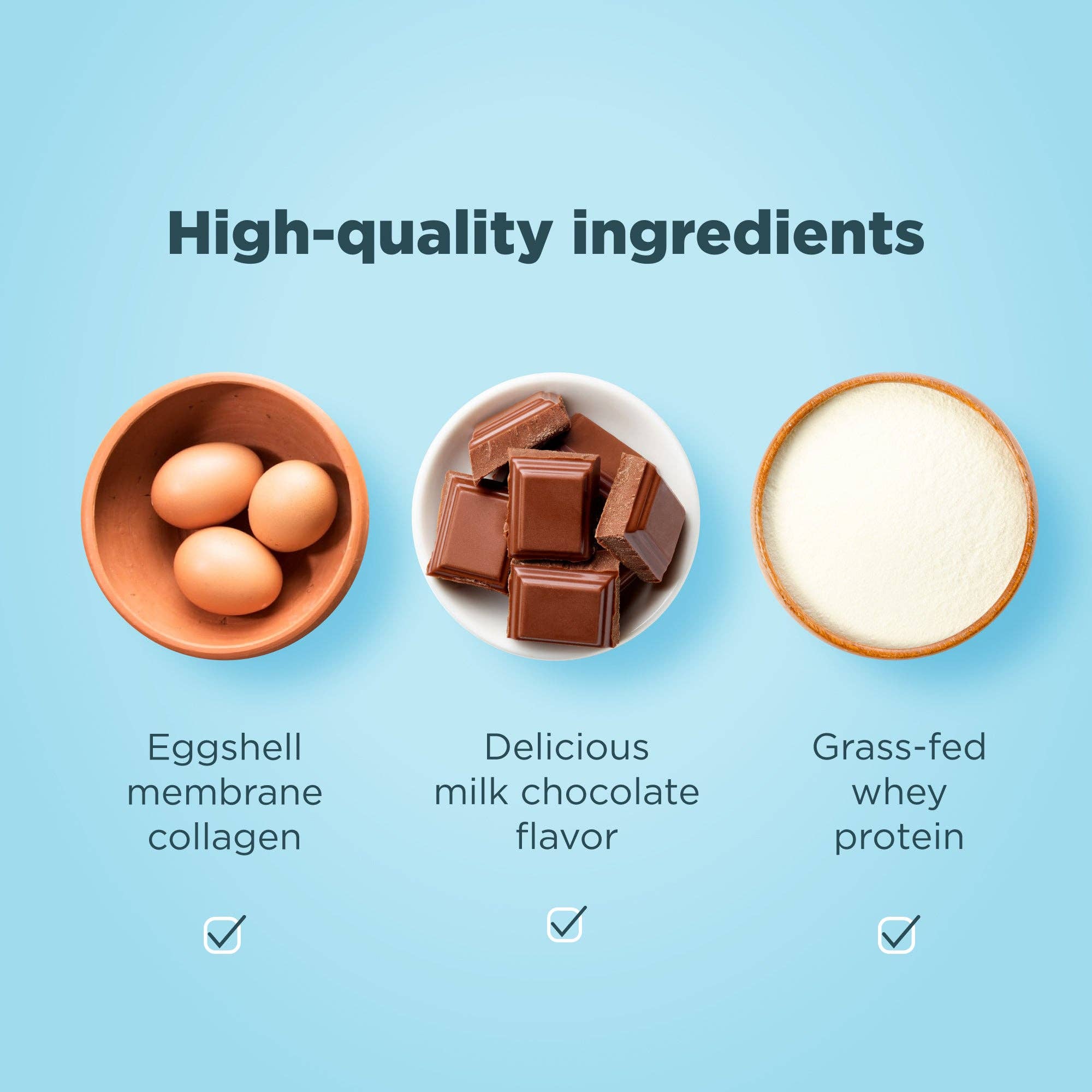 Whey Protein | Powder Chocolate (20 Servings)