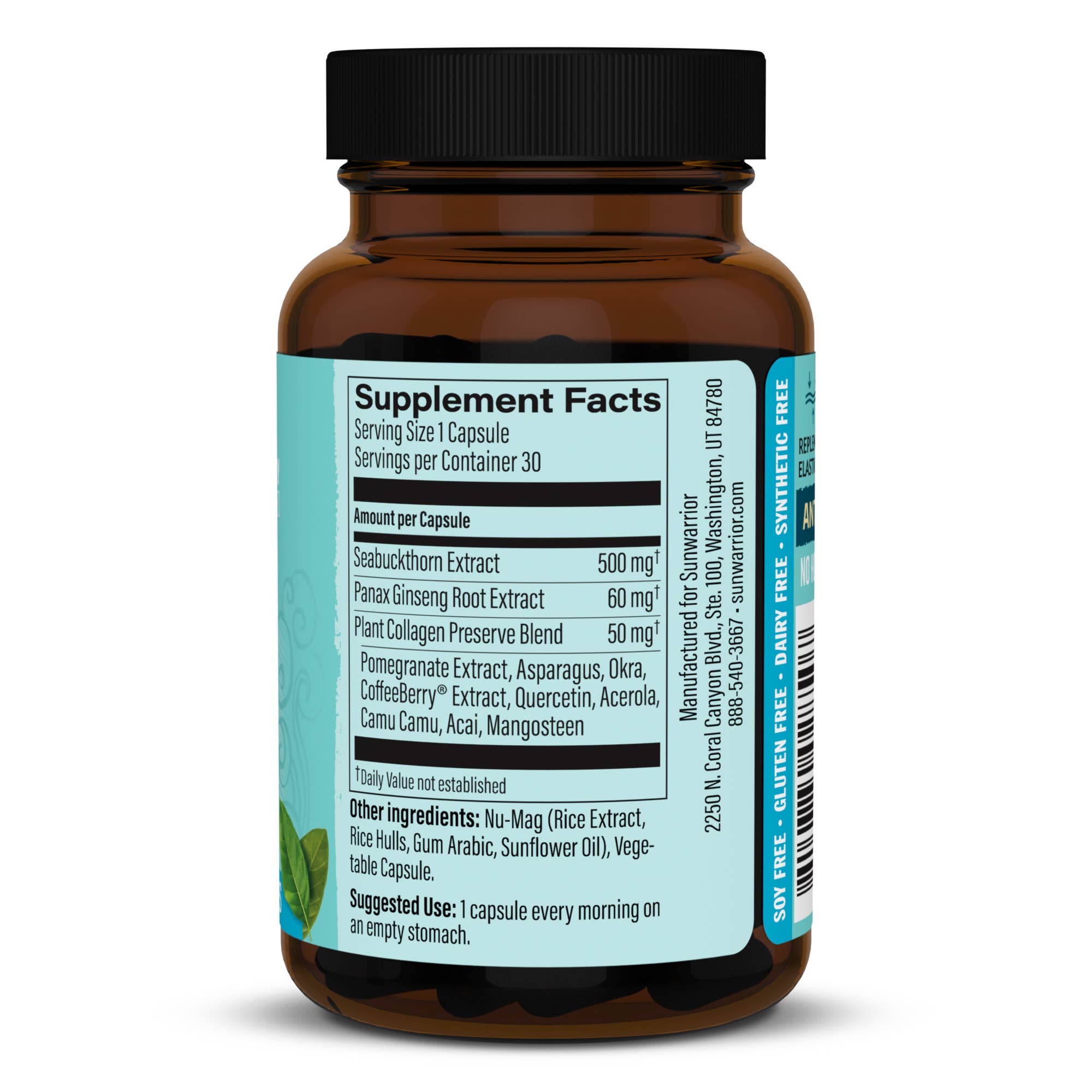 Protector Plant-Based Collagen Capsules - Vegan, Soy-Free