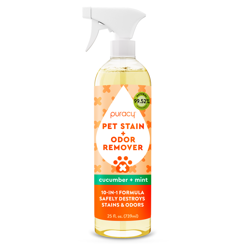 Pet Stain & Odor Remover: Cucumber & Mint / 25 oz.