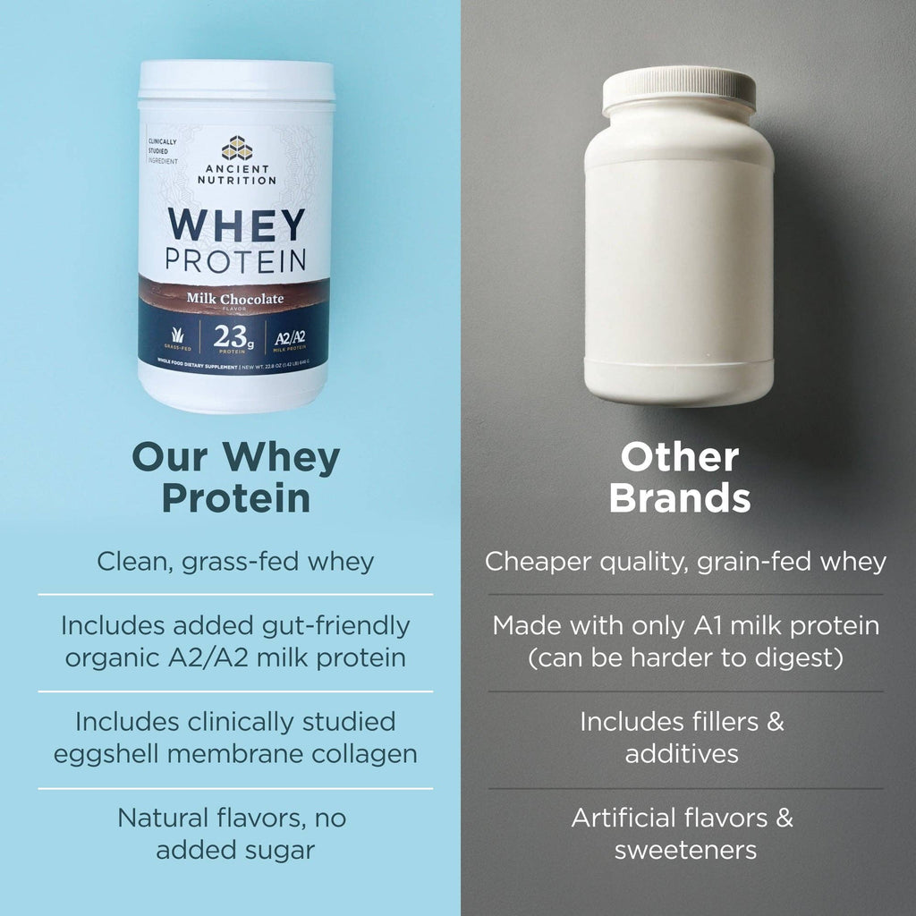 Whey Protein | Powder Chocolate (20 Servings)