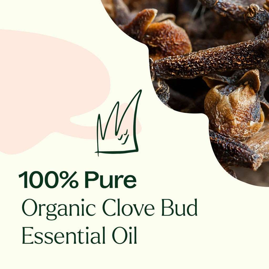 Organic Clove Bud Essential Oil 10 mL