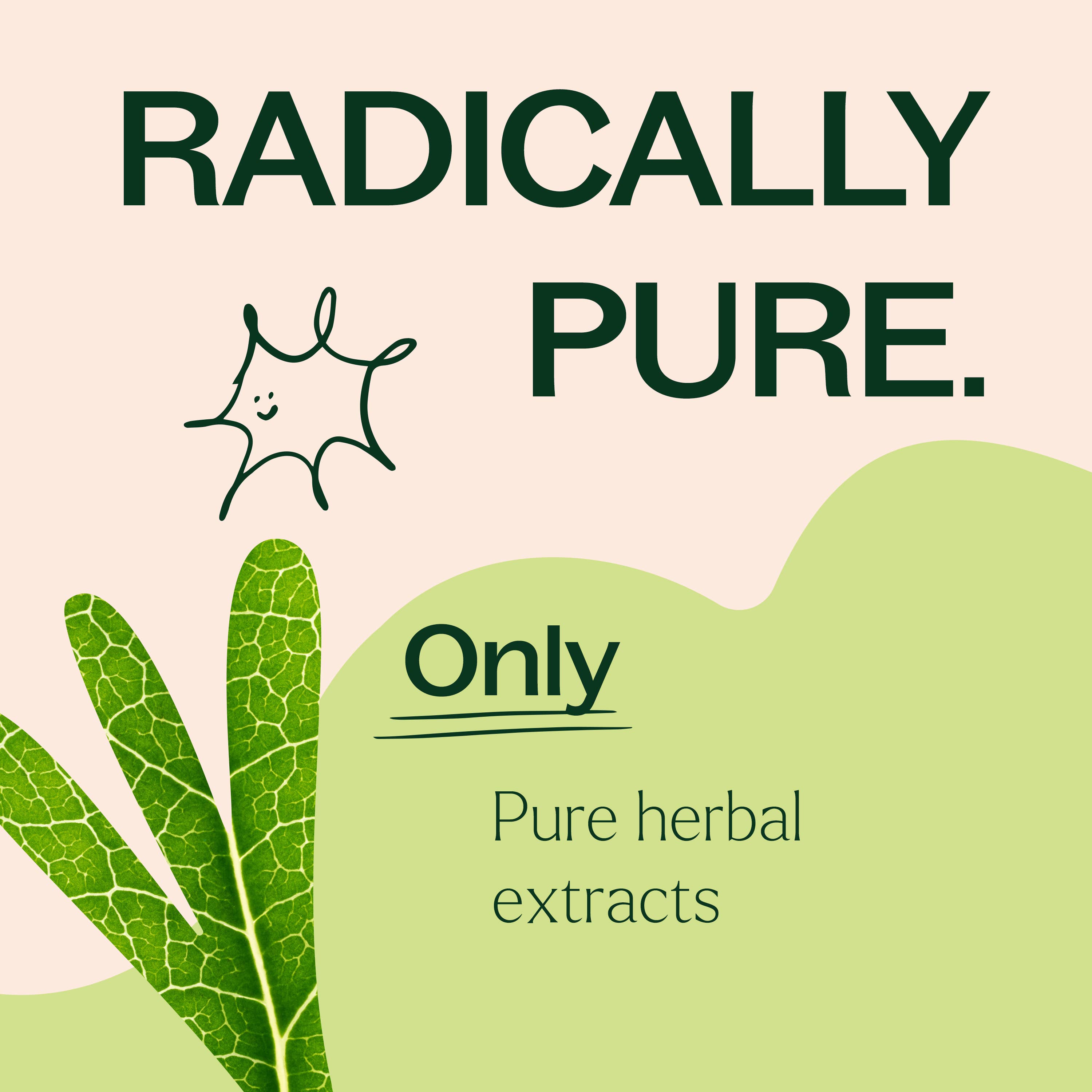 Moringa Herbal Supplement Capsules-120 Capsules
