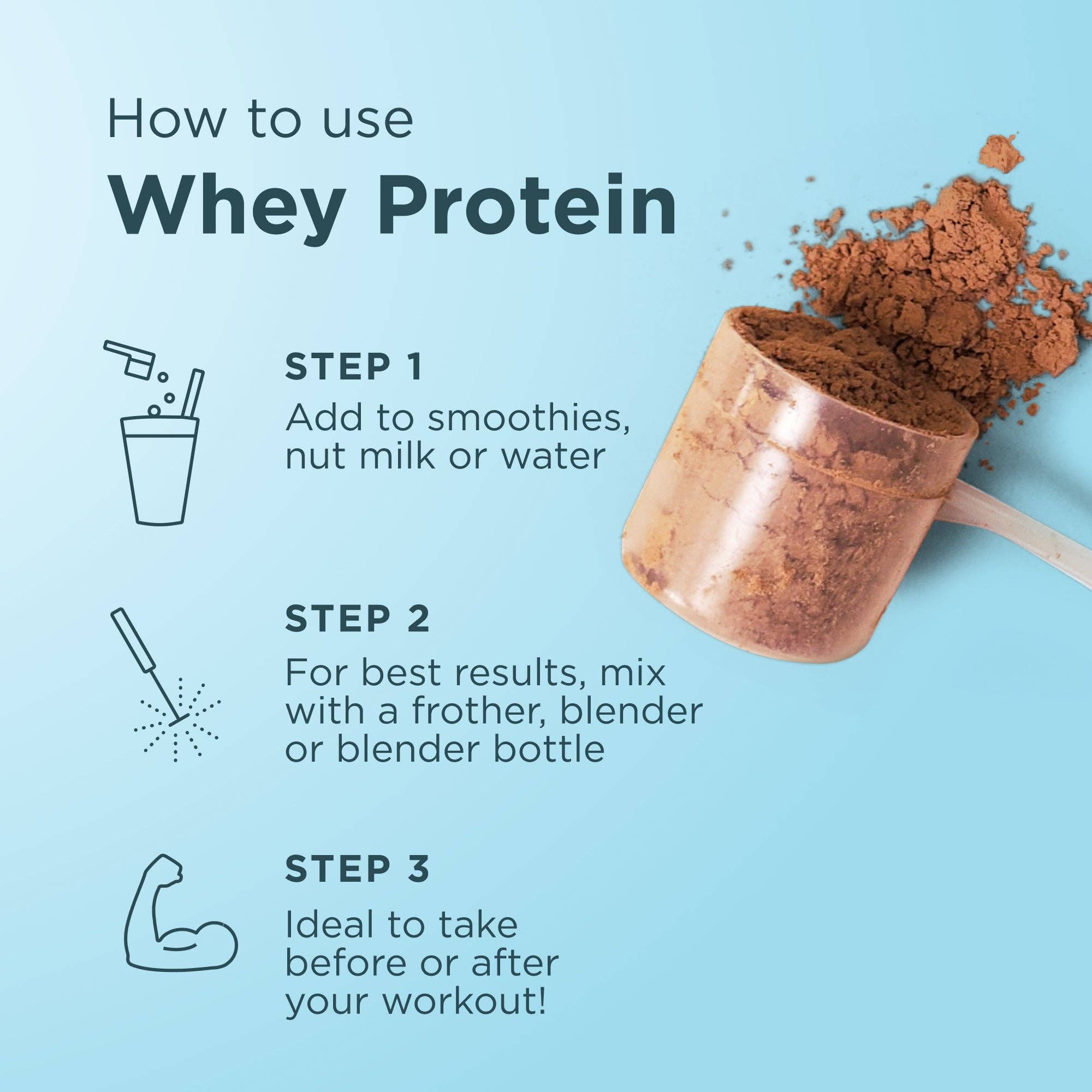 Whey Protein | Powder Chocolate (20 Servings)