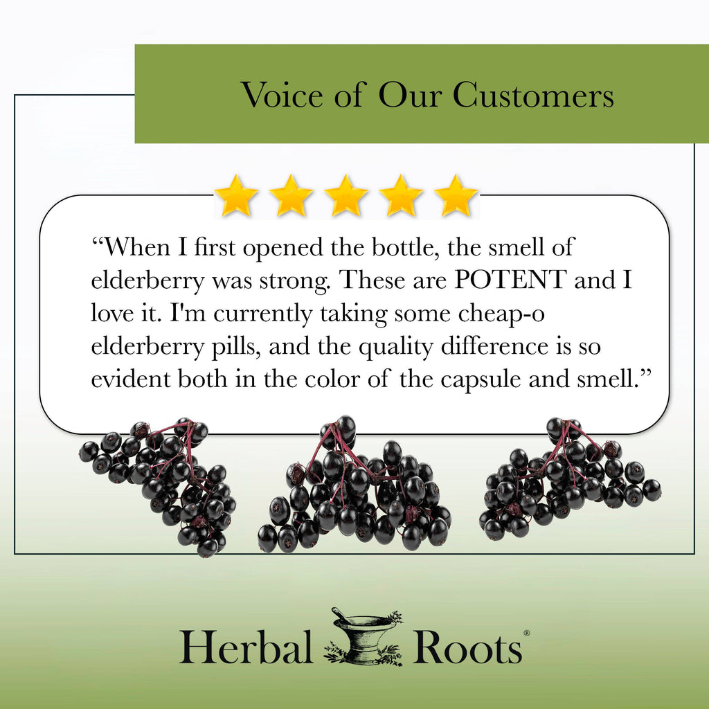 Herbal Roots Organic Black Elderberry Capsules