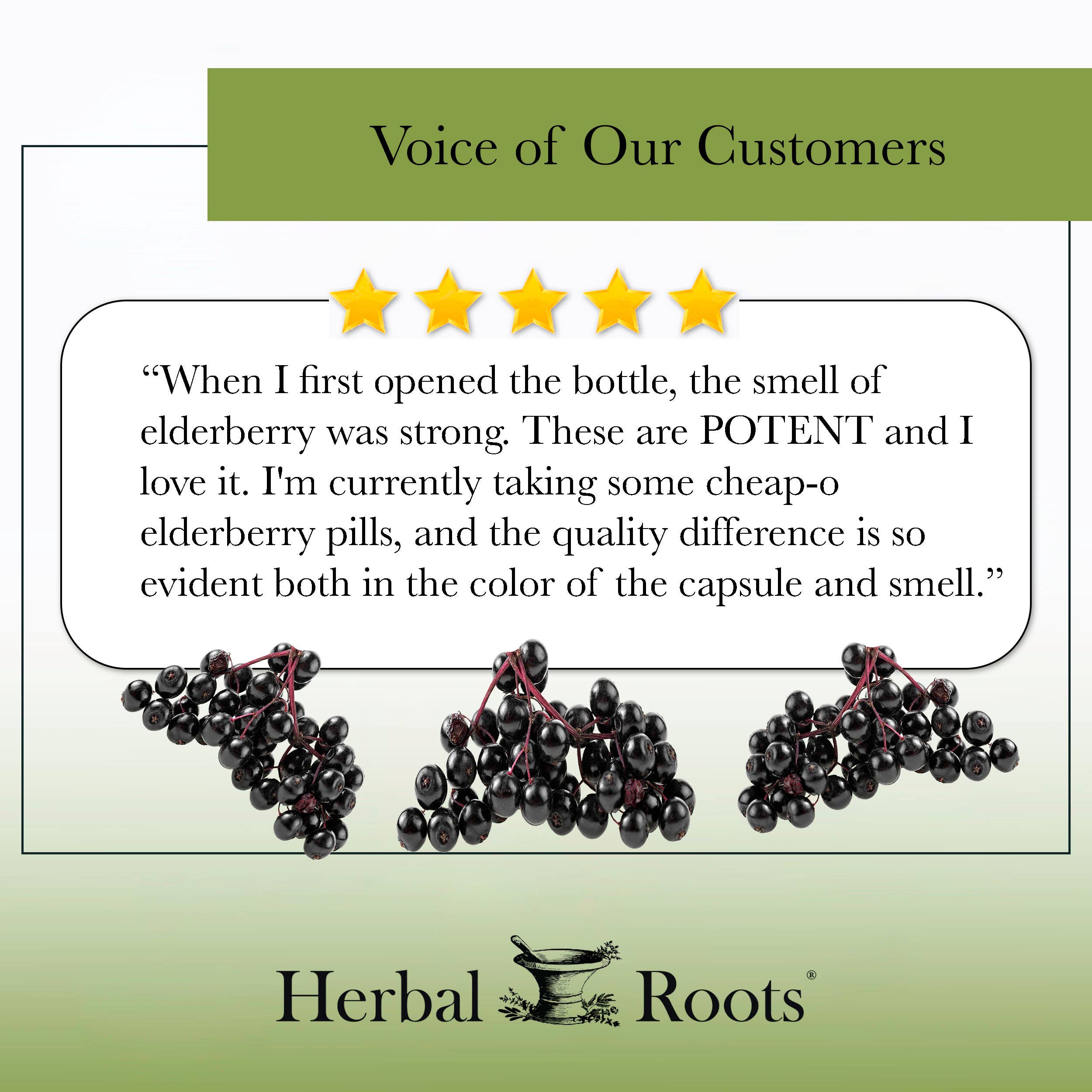 Herbal Roots Organic Black Elderberry Capsules