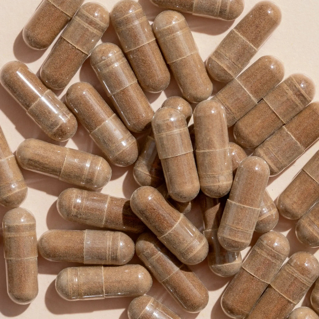 Brain Boost Herbal Supplement Capsules - 120 Capsules