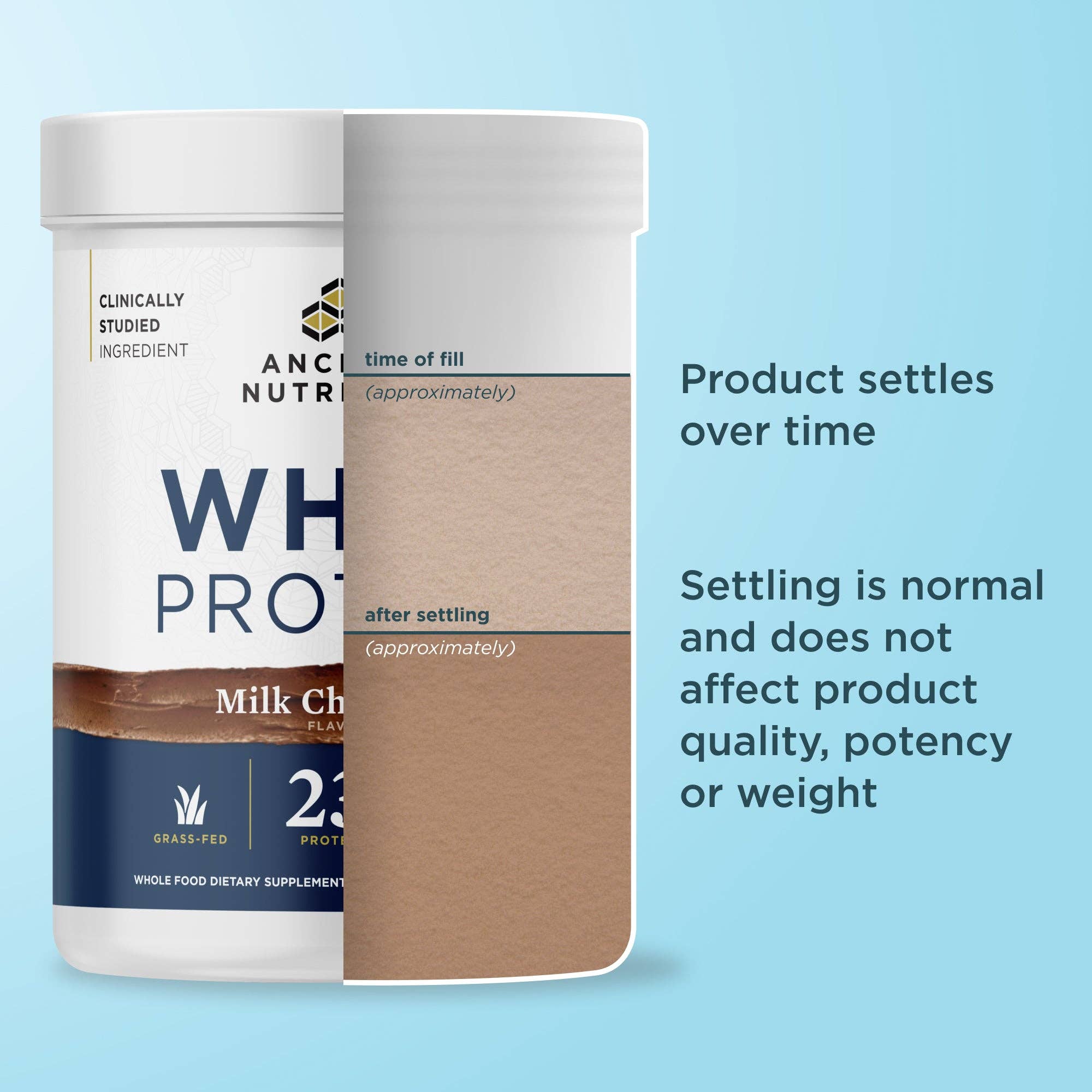 Whey Protein | Powder Chocolate (20 Servings)