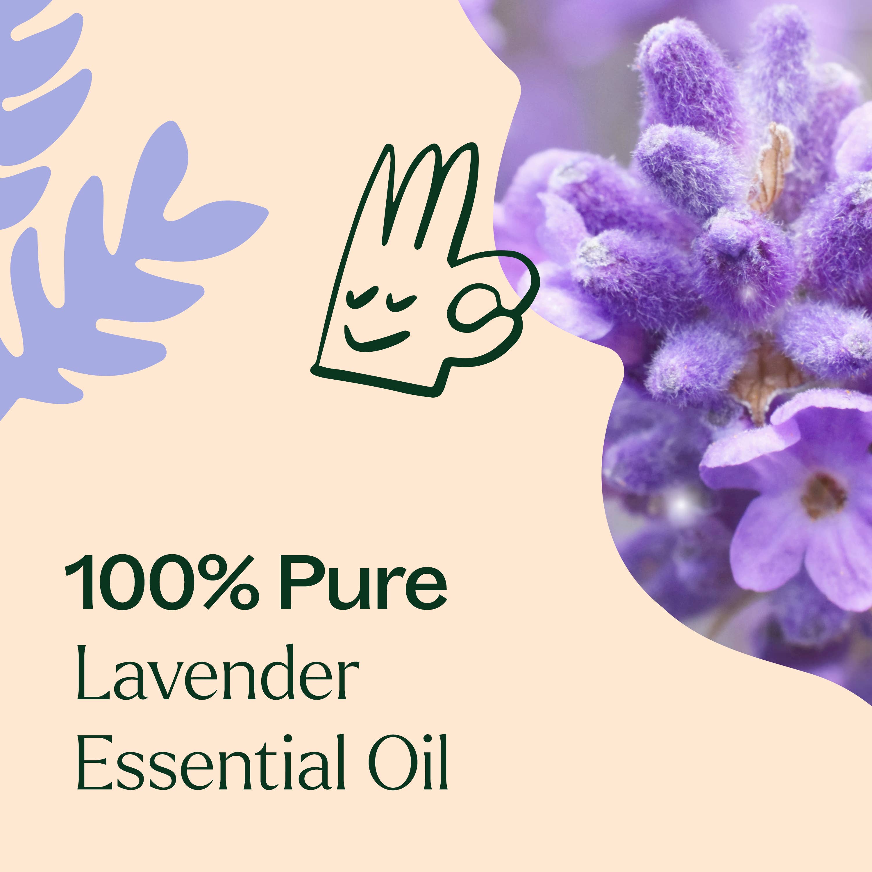 Organic Lavender Essential Oil 10 mL