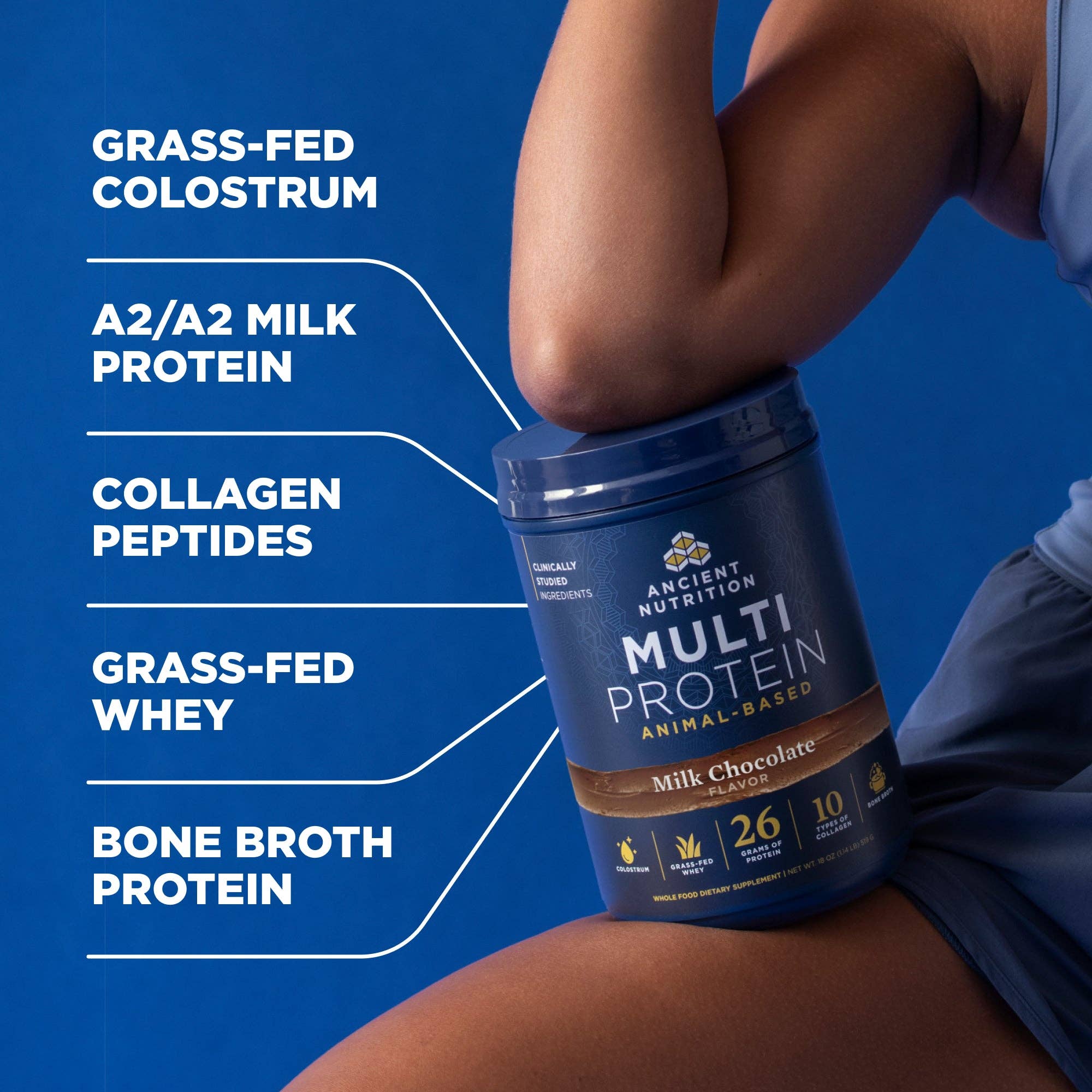 Multi Protein | Powder Milk Chocolate (15 Servings)