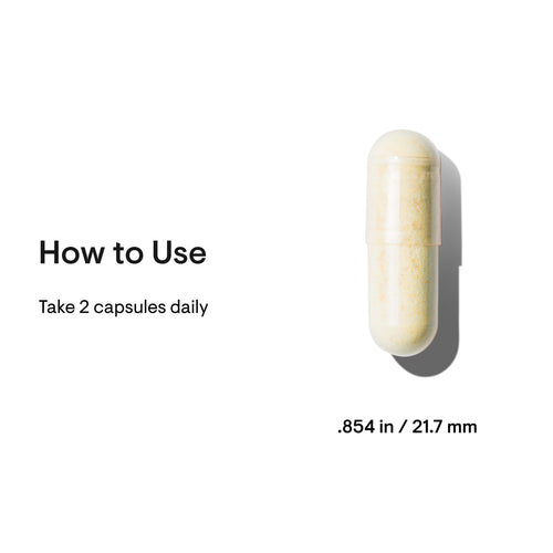 Basic Nutrients 2/Day - 60 Servings